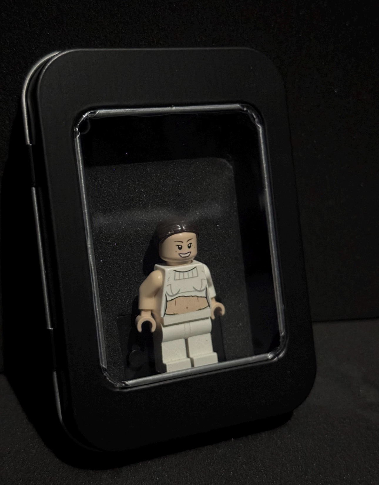 Pocket Figure Display Case (Single)